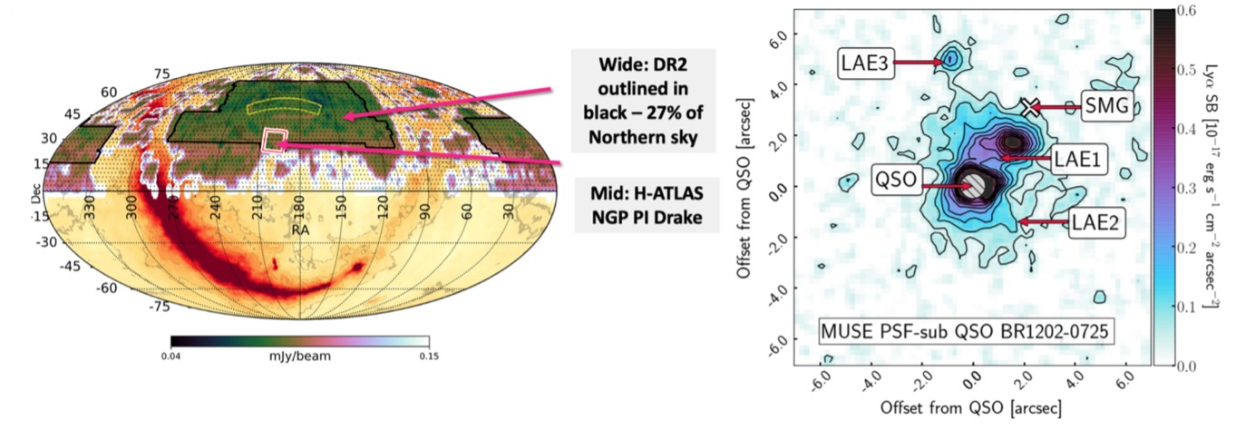 All sky image showing the LoTSS DR2 coverage and the NGP field. Other image shows the MUSE observation of a quasar-SMG merger.