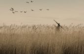 New book reveals the enchanting story of the Norfolk Broads