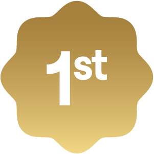 first icon in solid gold with white 1st